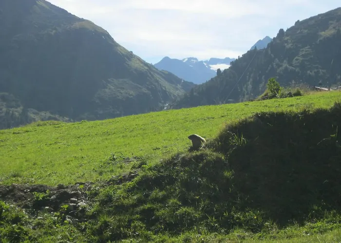 Stubai Hébergement de vacances